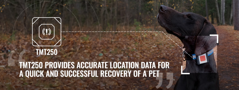 Gps tracker for dogs under cheap skin